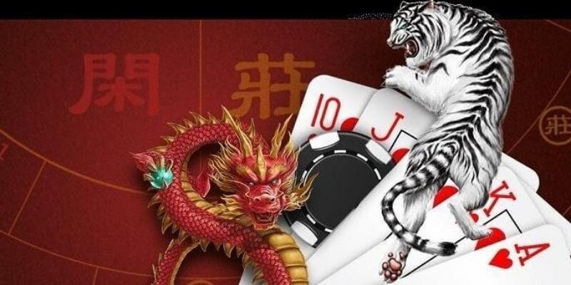 3 hình thức cược Rồng hổ 3 hình thức cược Rồng hổ